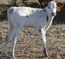 14-H