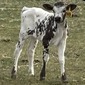 48-H