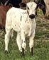 14-H